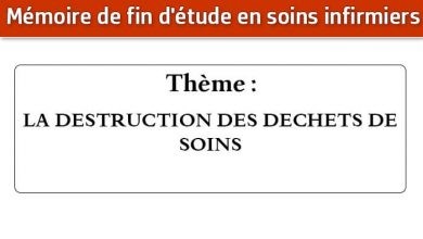 Photo of Mémoire infirmier : LA DESTRUCTION DES DECHETS DE SOINS