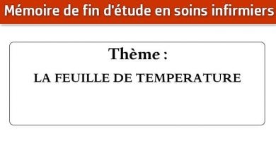 Photo of Mémoire infirmier : LA FEUILLE DE TEMPERATURE