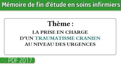 Photo of Memoire infirmiers : LA PRISE EN CHARGE D’UN TRAUMATISME CRANIEN AU NIVEAU DES URGENCES