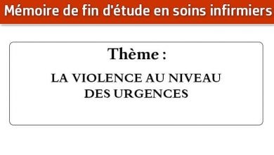 Photo of Mémoire infirmier : LA VIOLENCE AU NIVEAU DES URGENCES