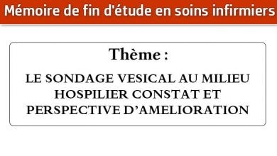 Photo of Mémoire infirmier : LE SONDAGE VESICAL AU MILIEU HOSPILIER CONSTAT ET PERSPECTIVE D’AMELIORATION