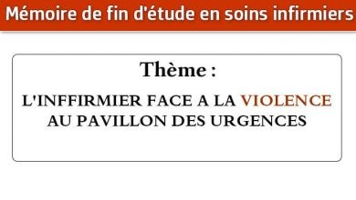 Photo of Mémoire infirmier : L’INFFIRMIER FACE A LA VIOLENCE AU PAVILLON DES URGENCES