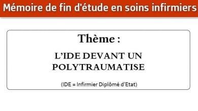Photo of Mémoire infirmier : L’IDE DEVANT UN POLYTRAUMATISE