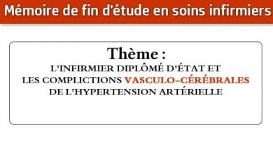 Photo of Mémoire infirmier : L’INFIRMIER DIPLÔMÉ D’ÉTAT ET LES COMPLICTIONS VASCULO-CÉRÉBRALES DE L’HYPERTENSION ARTÉRIELLE